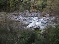 cantara gurne23122011 086